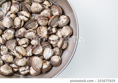 Fresh seafood cockles in a bowl Fresh seafood cockles in a bowl 101675929