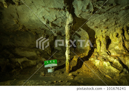Yamaguchi Prefecture, Mine City, Akiyoshi Cave Main Pillar 101676241