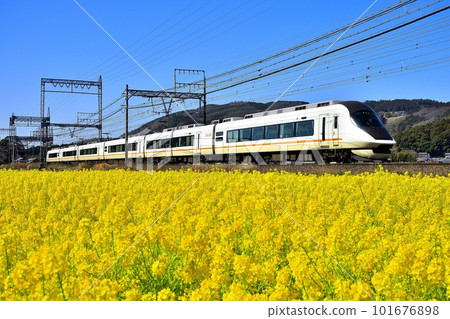 The Kintetsu Limited Express Urban Liner runs through a field of rape blossoms The Kintetsu Limited Express Urban Liner runs through a field of rape blossoms 101676898