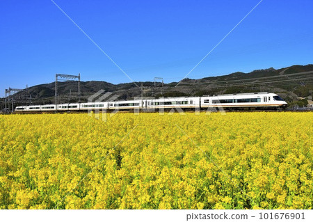 The Kintetsu Limited Express Urban Liner runs through a field of rape blossoms The Kintetsu Limited Express Urban Liner runs through a field of rape blossoms 101676901