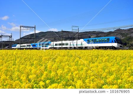穿過油菜花田的近鐵特急島風1號 穿過油菜花田的近鐵特急島風1號 101676905
