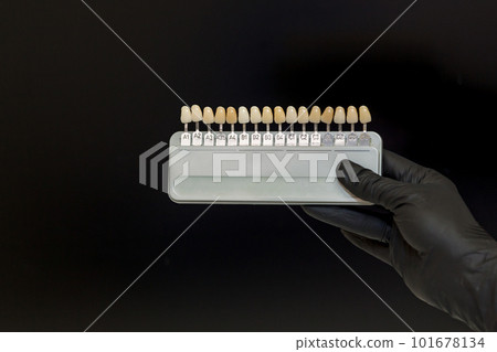 A dentist's hand in a black glove holds a color palette with artificial teeth for visual color selection A dentist's hand in a black glove holds a color palette with artificial teeth for visual color selection 101678134