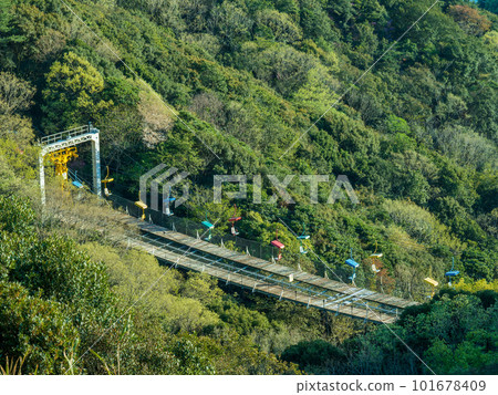 Colorful lift cables crossing the forest (Suma Ward, Kobe City, Hyogo Prefecture) 101678409