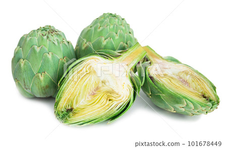 green artichokes on white background green artichokes on white background 101678449