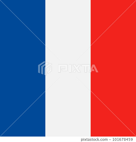 Vector flat France flag 101678459