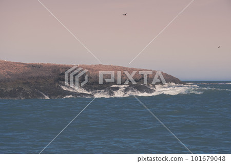 Coastal seascape, Santa Cruz Province,Patagonia, Argentina Coastal seascape, Santa Cruz Province,Patagonia, Argentina 101679048
