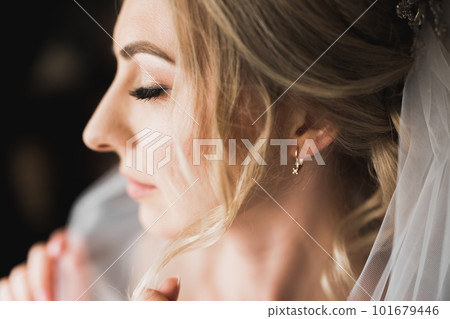 Portrait of beautiful bride with fashion veil at wedding morning Portrait of beautiful bride with fashion veil at wedding morning 101679446
