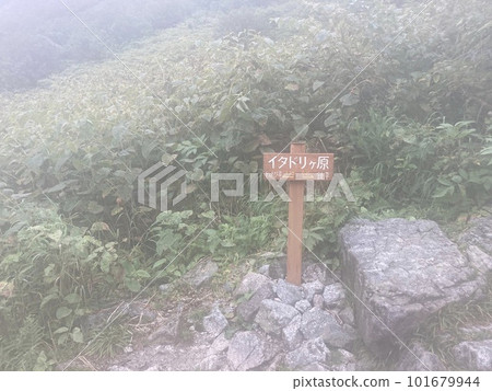 Traversing the Northern Alps in a tent Traversing the Northern Alps in a tent 101679944