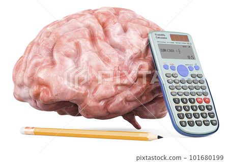 Brain with calculator and pencil, research concept. 3D rendering Brain with calculator and pencil, research concept. 3D rendering 101680199