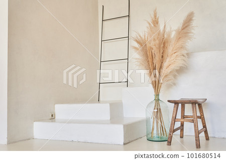 Product layout, trending. Product display. Dried flowers in a vase standing on a white floor, the neutral interior of the living room. Space for copying. High quality photo Product layout, trending. Product display. Dried flowers in a vase standing on a white floor, the neutral interior of the living room. Space for copying. High quality photo 101680514