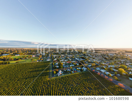 Coonawarra Landscape near Penola in Australia Coonawarra Landscape near Penola in Australia 101680598