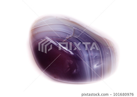 Macro mineral stone Agate Botswana gray on white background Macro mineral stone Agate Botswana gray on white background 101680976