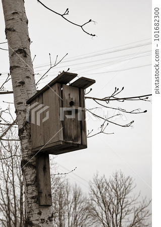 Black and white image of an old birdhouse on a tree Black and white image of an old birdhouse on a tree 101682300
