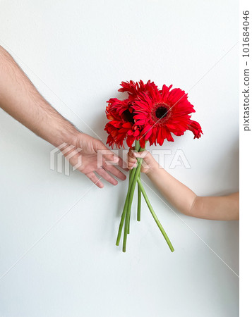 small child gives his father bouquet of flowers on white background. Fathers Day small child gives his father bouquet of flowers on white background. Fathers Day 101684046