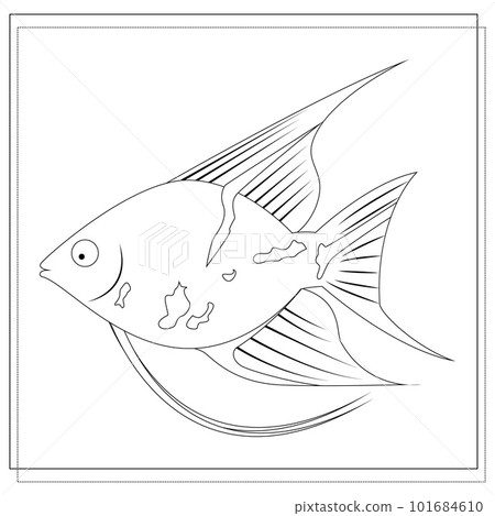 coloring book for children, the image of a fish. vector, isolated on a white background coloring book for children, the image of a fish. vector, isolated on a white background 101684610