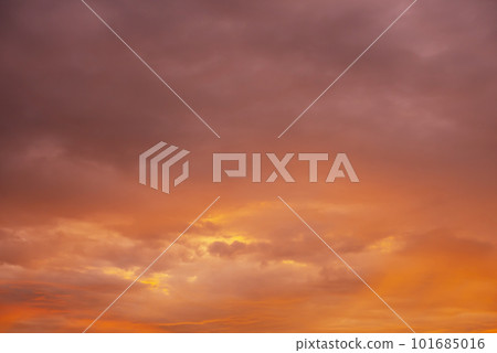 Trend color background Trend color background 101685016