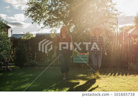 Two women farmer working in gardening. Gardener carrying crate with freshly harvested vegetables in garden. Two women farmer working in gardening. Gardener carrying crate with freshly harvested vegetables in garden. 101685738