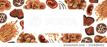 Watercolor medicinal mushroom frame, adaptogenic plant. Hand-drawn illustration isolated on white background. Perfect concept for healthy chinese medicine popular superfood, design packing. Watercolor medicinal mushroom frame, adaptogenic plant. Hand-drawn illustration isolated on white background. Perfect concept for healthy chinese medicine popular superfood, design packing. 101686402