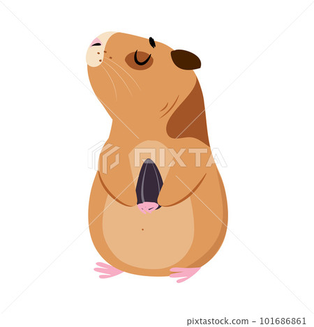 Cute guinea pig holding sunflower seed. Funny brown pet rodent cartoon vector illustration Cute guinea pig holding sunflower seed. Funny brown pet rodent cartoon vector illustration 101686861