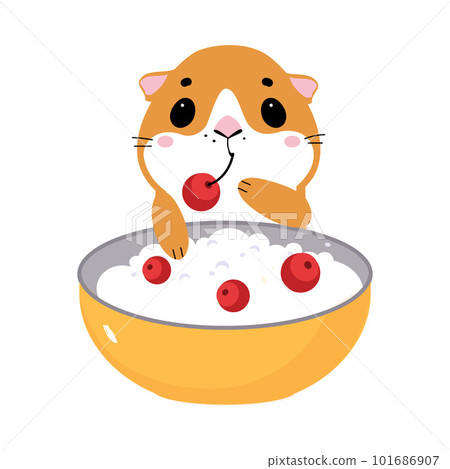Cute little pet guinea pig with bowl of porridge cartoon vector illustration Cute little pet guinea pig with bowl of porridge cartoon vector illustration 101686907