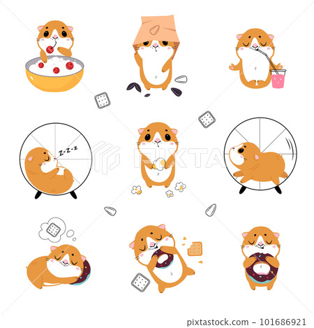 Cute little guinea pig in everyday activities set. Adorable pet animal eating, sleeping and running in wheel cartoon vector illustration 101686921