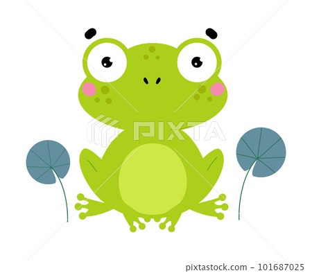 Happy Green Frog with Protruding Eyes Sitting Vector Illustration 101687025