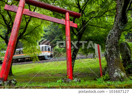 [高山本線]經過飛水峽的臨時特急飛騨81號 101687127