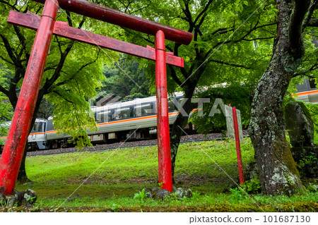[高山本線]經過飛水峽的臨時特急飛騨81號 101687130