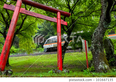 [Takayama Main Line] Temporary limited express Hida 81 that passes through Hisuikyo 101687135