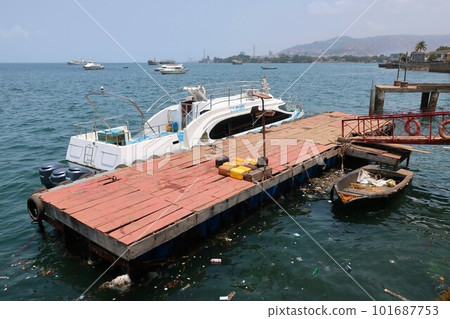 Seabird connecting Lungi and Freetown 101687753