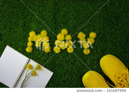 The word MAY is laid out on a green lawn of dandelion flowers The word MAY is laid out on a green lawn of dandelion flowers 101687990