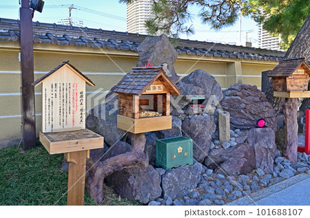 Kawaguchi Stroll: Zuisenji Temple, Chizan School of Shingon Buddhism, Motogo, Kawaguchi City 101688107