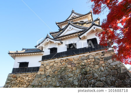 日本國寶彥根城和秋葉 101688718