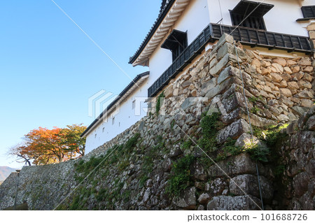 日本國寶彥根城和秋葉 101688726