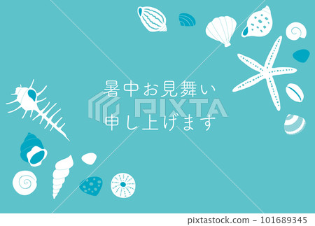 summer greeting card with seashells summer greeting card with seashells 101689345