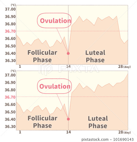 圖解插圖比較懷孕可能性的基礎體溫圖英文（°C） 101690143