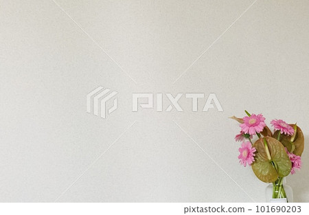 Gerbera and Anthurium Gerbera and Anthurium 101690203