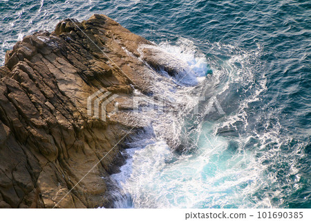 Cape Ashizuri Park/Kameyobiba (Tosashimizu City, Kochi Prefecture) 101690385