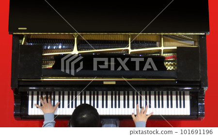 People who play the piano People who play the piano 101691196