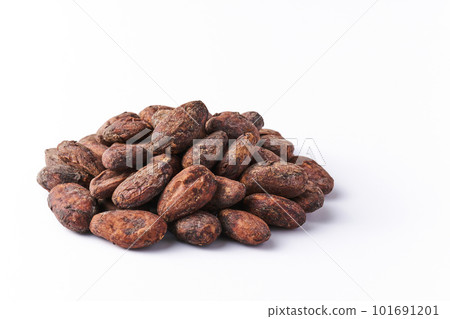 cocoa beans, white background 101691201