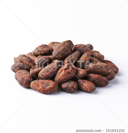 可可豆,白色背景 可可豆,白色背景 101691202