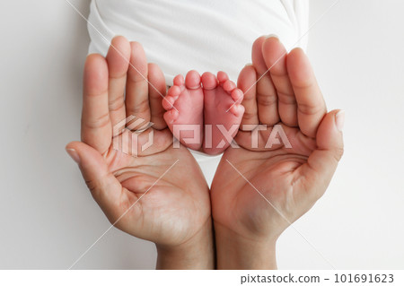 The palms of the father, the mother are holding the foot of the newborn baby in a white blanket. Feet of the newborn on the palms of the parents. Studio photography of a child's toes, heels and feet.  101691623