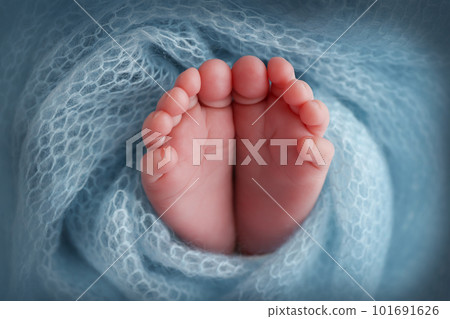 Close-up of tiny, cute, bare toes, heels and feet of a newborn girl, boy. Baby foot on blue soft coverlet, blanket. Detail of a newborn baby legs.Macro horizontal professional studio photo. Close-up of tiny, cute, bare toes, heels and feet of a newborn girl, boy. Baby foot on blue soft coverlet, blanket. Detail of a newborn baby legs.Macro horizontal professional studio photo. 101691626