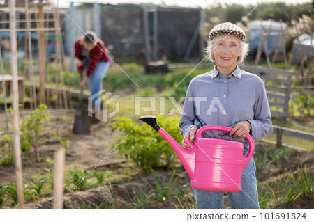 Portrait of an elderly satisfied woman with watering can for watering plants in garden 101691824