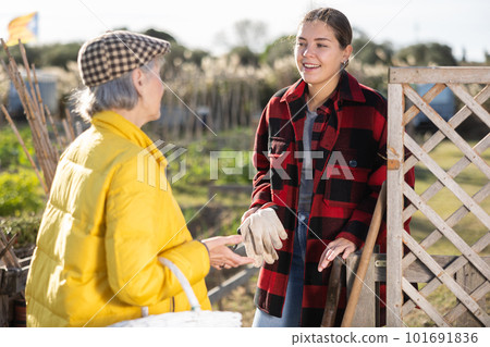 Two female gardeners talking near wooden fence in garden 101691836