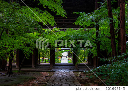 Sogenji Temple with beautiful fresh greenery 101692145