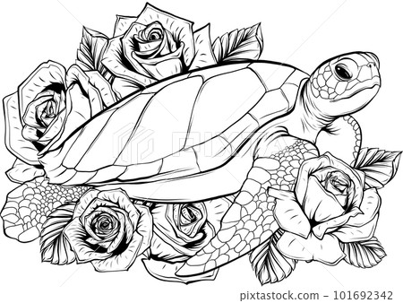 Sea turtle vector illustration in vintage monochrome style isolated on white background 101692342