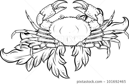 monochrome Crab with claws. Sketch in a linear style isolated on a white background. 101692465