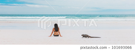 Beach vacation funny marine iguana walking by woman tanning on Galapagos islands travel banner. Girl tourist sunbathing on Tortuga bay beach, Santa Cruz, Galapagos Islands, Ecuador, South America. 101693066