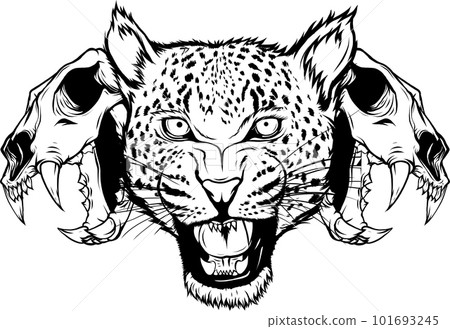 Jaguar head front view vector illustration in vintage detailed monochrome style isolated on white background Jaguar head front view vector illustration in vintage detailed monochrome style isolated on white background 101693245